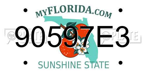 90597E3 Florida License Plate