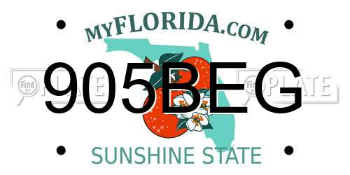905BEG Florida License Plate