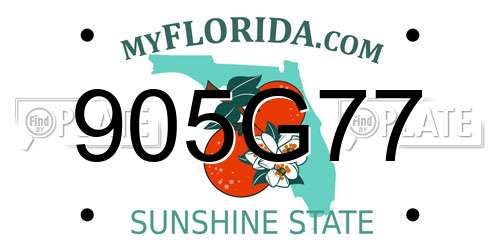 905G77 Florida License Plate