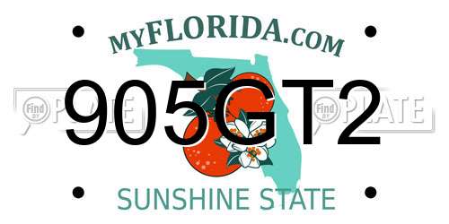 905GT2 Florida License Plate