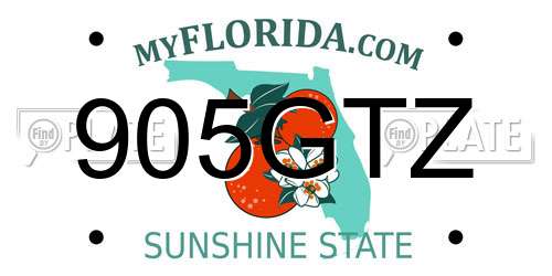 905GTZ Florida License Plate
