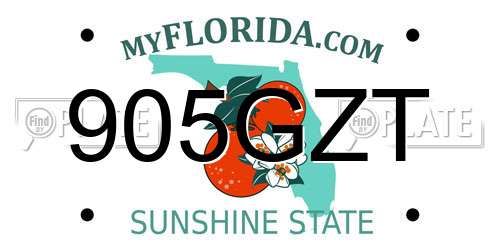 905GZT Florida License Plate