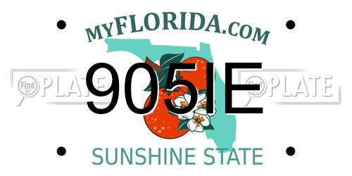 905IE Florida License Plate