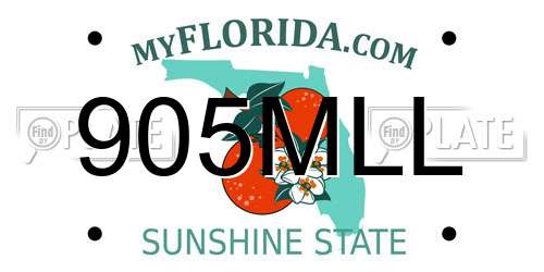 905MLL Florida License Plate