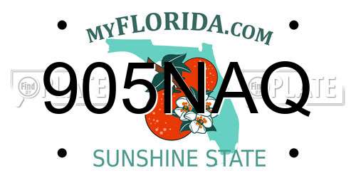 905NAQ Florida License Plate