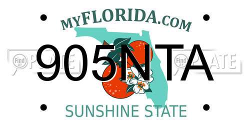 905NTA Florida License Plate