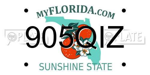 905QIZ Florida License Plate