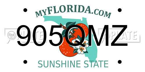905QMZ Florida License Plate