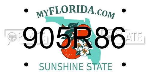 905R86 Florida License Plate