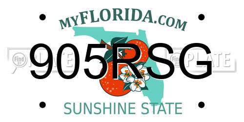 905RSG Florida License Plate