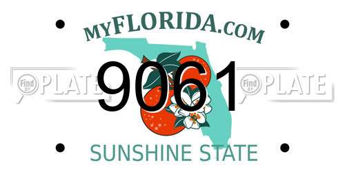 9061 Florida License Plate