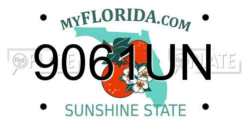 9061UN Florida License Plate