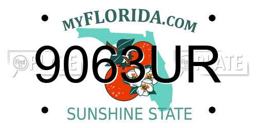9063UR Florida License Plate