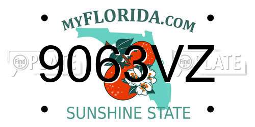 9063VZ Florida License Plate