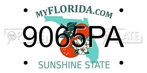 9065PA Florida License Plate