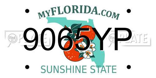 9065YP Florida License Plate