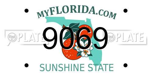 9069 Florida License Plate