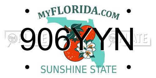 906YYN Florida License Plate