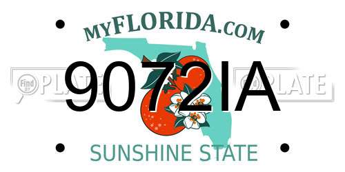 9072IA Florida License Plate