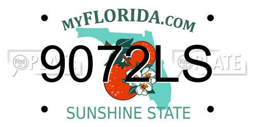 9072LS Florida License Plate