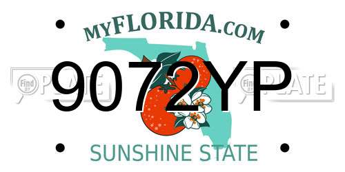 9072YP Florida License Plate