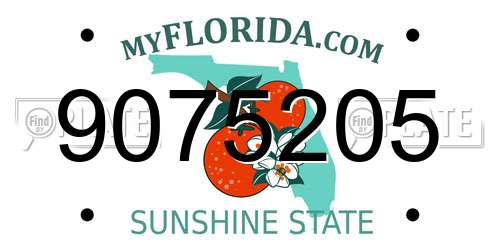 9075205 Florida License Plate