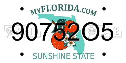 90752O5 Florida License Plate