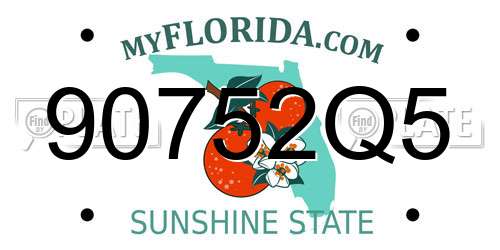 90752Q5 Florida License Plate