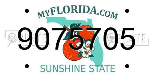 9075705 Florida License Plate