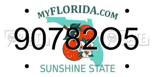 90782O5 Florida License Plate