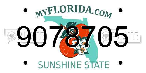 9078705 Florida License Plate