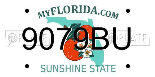 9079BU Florida License Plate