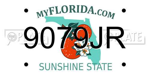 9079JR Florida License Plate