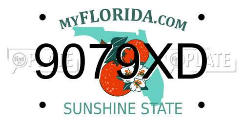 9079XD Florida License Plate
