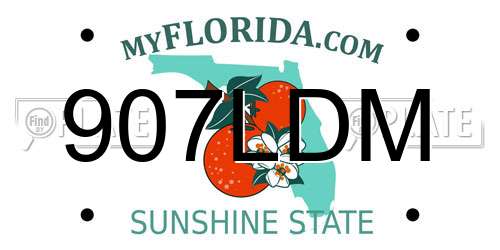 907LDM Florida License Plate