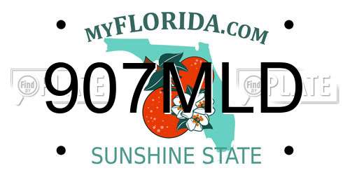 907MLD Florida License Plate