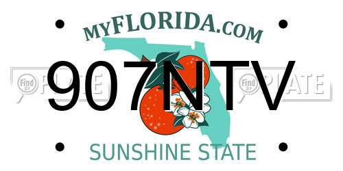 907NTV Florida License Plate