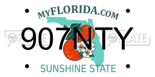 907NTY Florida License Plate