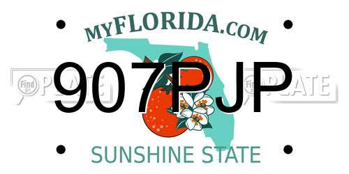907PJP Florida License Plate