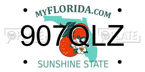 907QLZ Florida License Plate