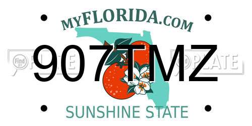 907TMZ Florida License Plate