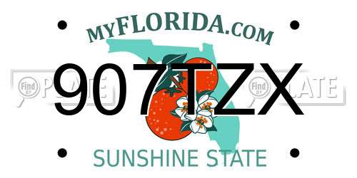 907TZX Florida License Plate