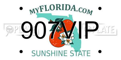 907VIP Florida License Plate