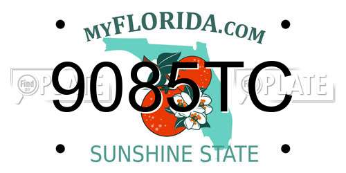 9085TC Florida License Plate