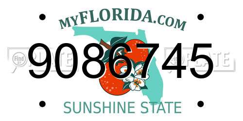 9086745 Florida License Plate