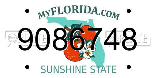 9086748 Florida License Plate