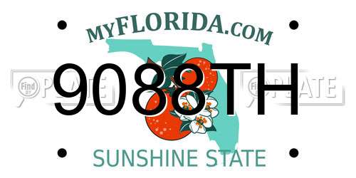 9088TH Florida License Plate