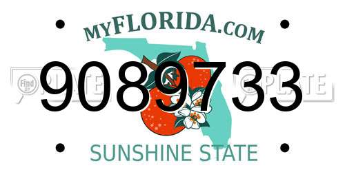 9089733 Florida License Plate