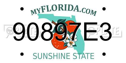 90897E3 Florida License Plate