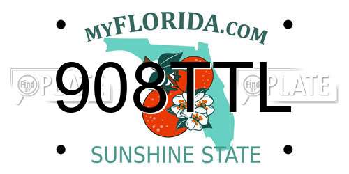 908TTL Florida License Plate